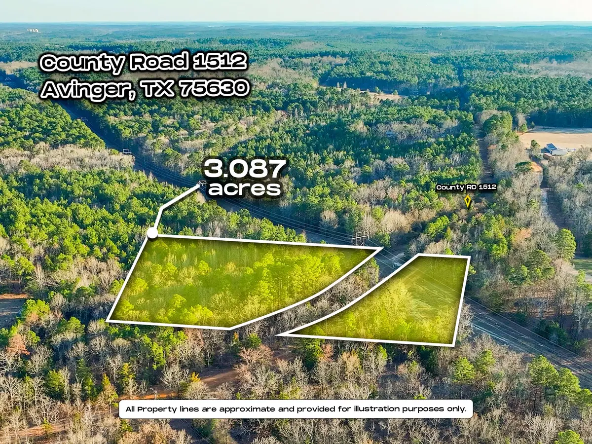 TBD County Road 1512, Avinger, TX 75630 - #1