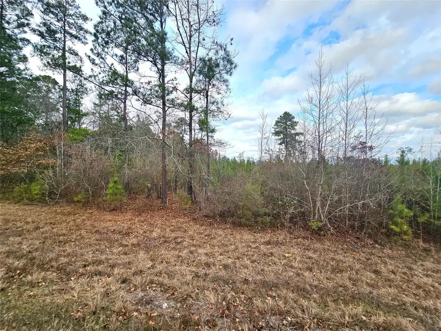 0 La-2 Alt, Haynesville, LA 71038 - #3