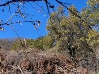 0 Cr 1176, Santa Anna, TX 76878