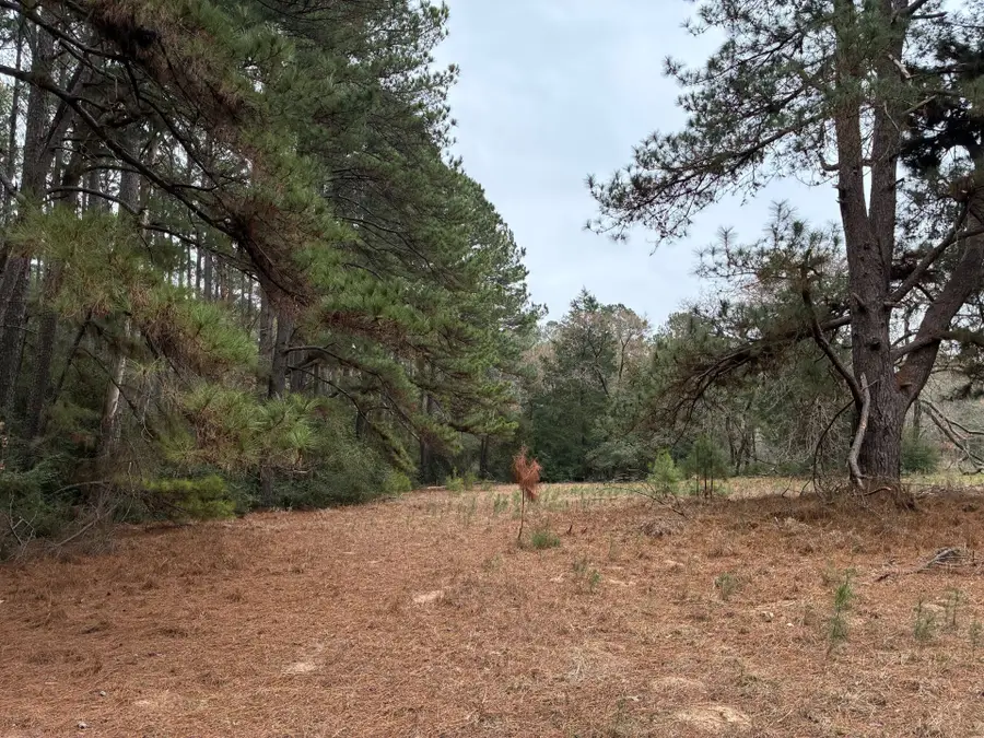 TBD Fcr 240, Fairfield, TX 75840 - #3