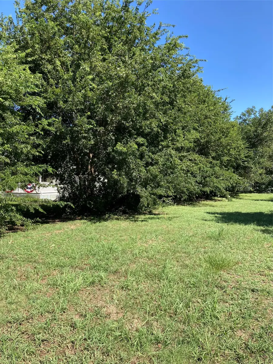 705 College Street, Grandview, TX 76050 - #3