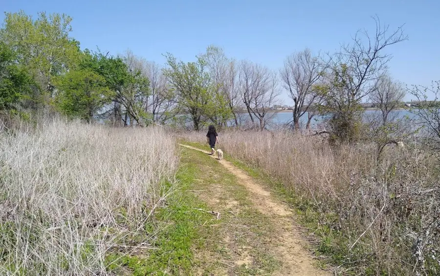 1728 Flamingo Drive, Little Elm, TX 75068 - #3