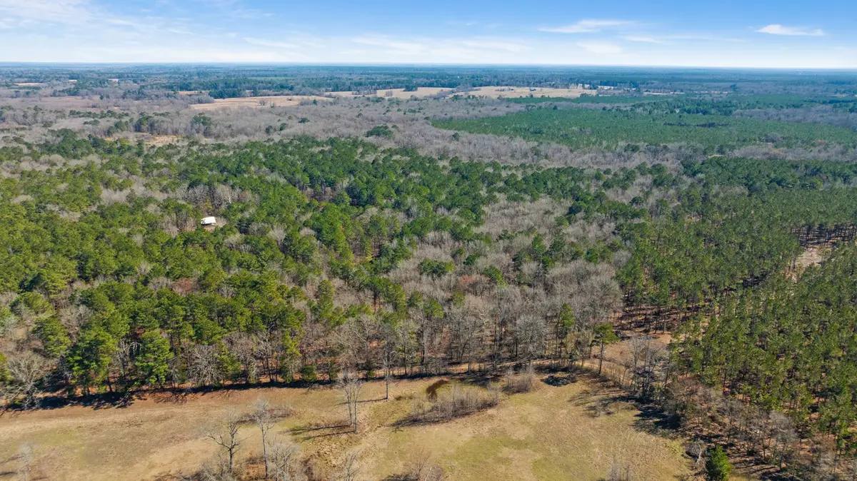 TBD County Road 2237, Bagwell, TX 75412 - #1