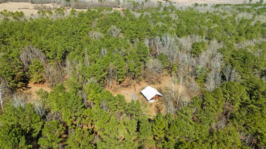 TBD County Road 2237, Bagwell, TX 75412 - #2
