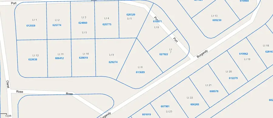 Lot 20 Burgandy, Hilltop Lakes, TX 77871 - #3