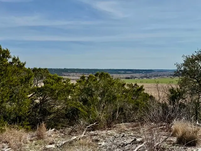 Lot 166 Private Road 16022, Jonesboro, TX 76538 - #3