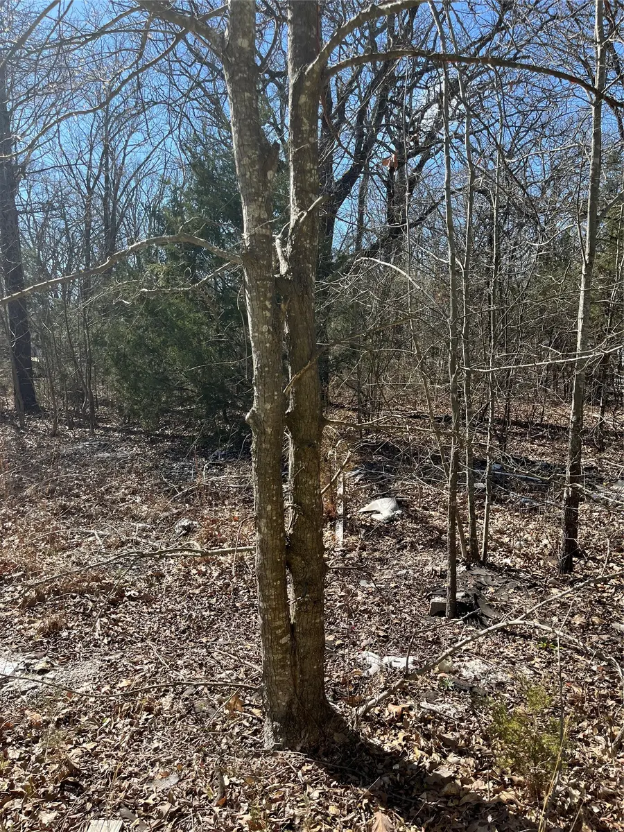 00 Cr-3605, Quinlan, TX 75474 - #3