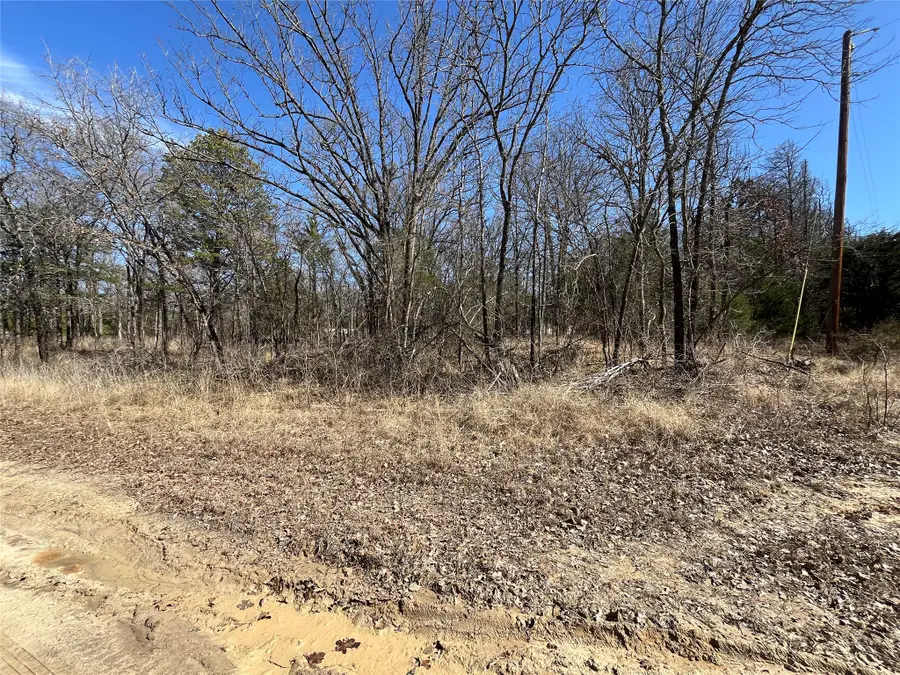 0000 Cr-3605, Quinlan, TX 75474 - #3