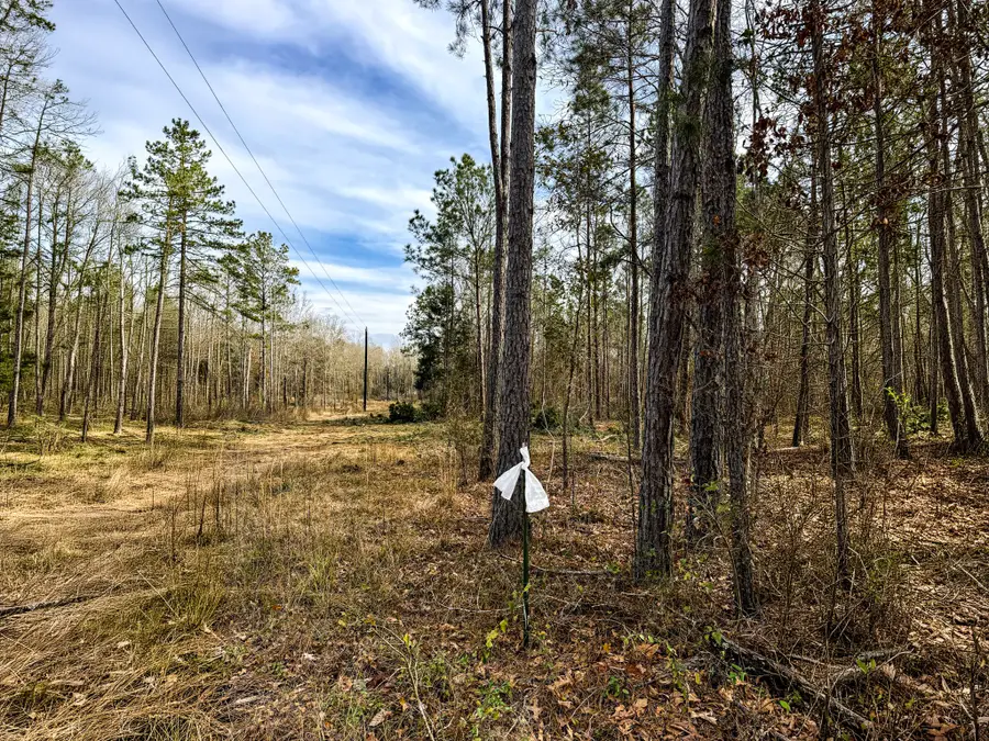 FM 839 S Fm-839 P-37, Henderson, TX 75654 - #3