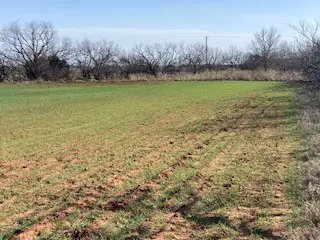 TBD Cr 176, Ovalo, TX 79541 - #2