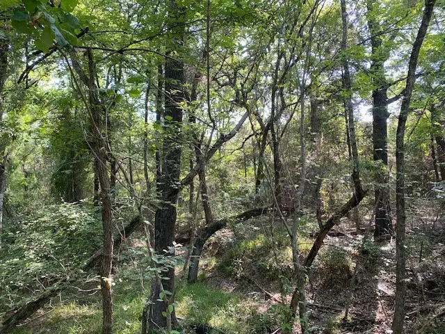 TR 3-A Cr 41514, Athens, TX 75751 - #1