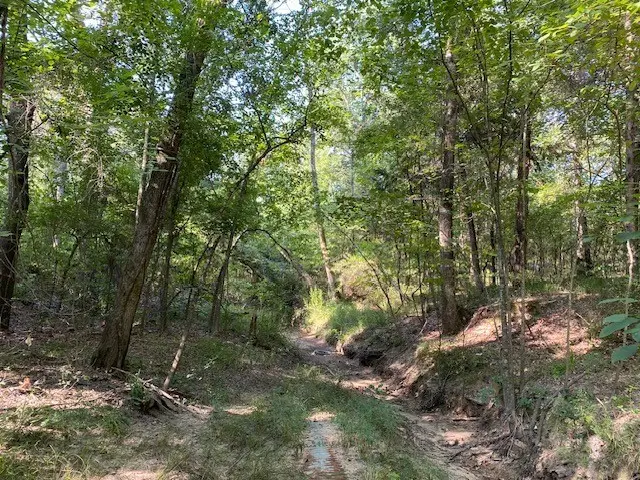 TR 3-A Cr 41514, Athens, TX 75751 - #2