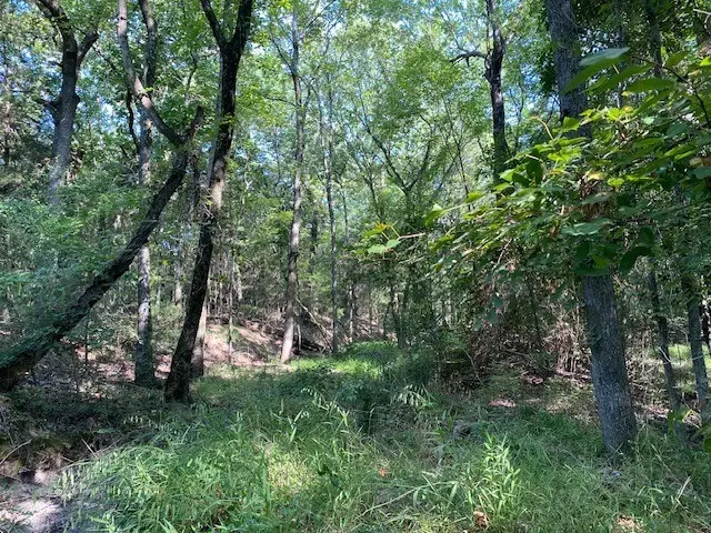 TR 3-A Cr 41514, Athens, TX 75751 - #3