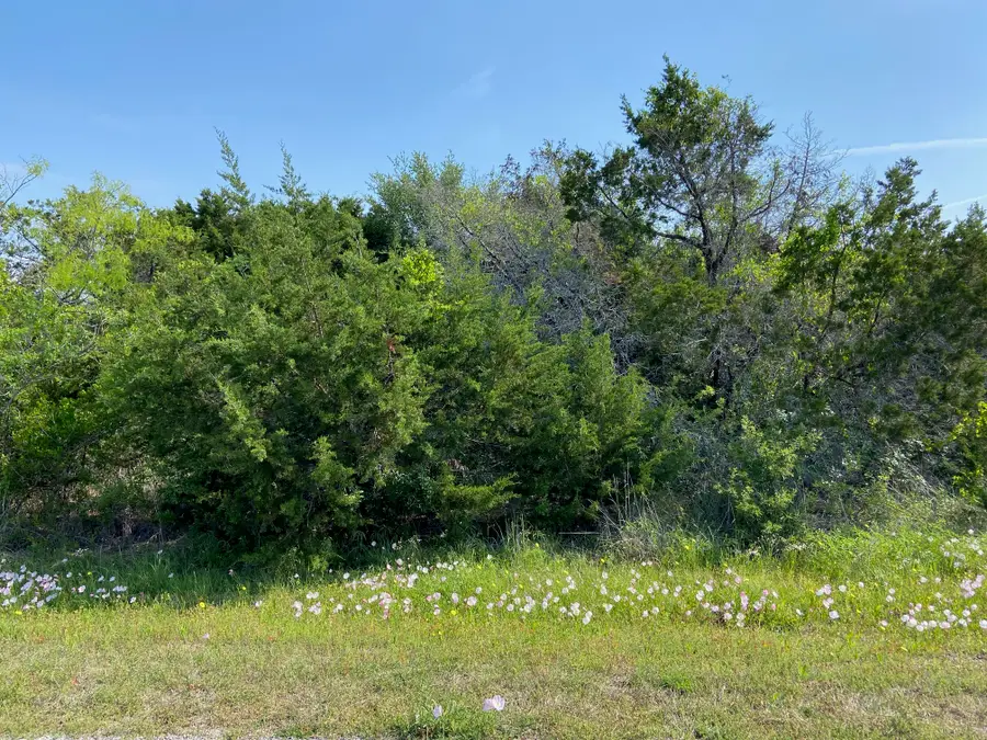 36064 Cedar Ridge Drive, Whitney, TX 76692 - #2