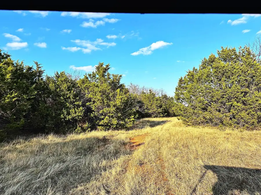 16061 County Road 107, Mingus, TX 76463 - #2