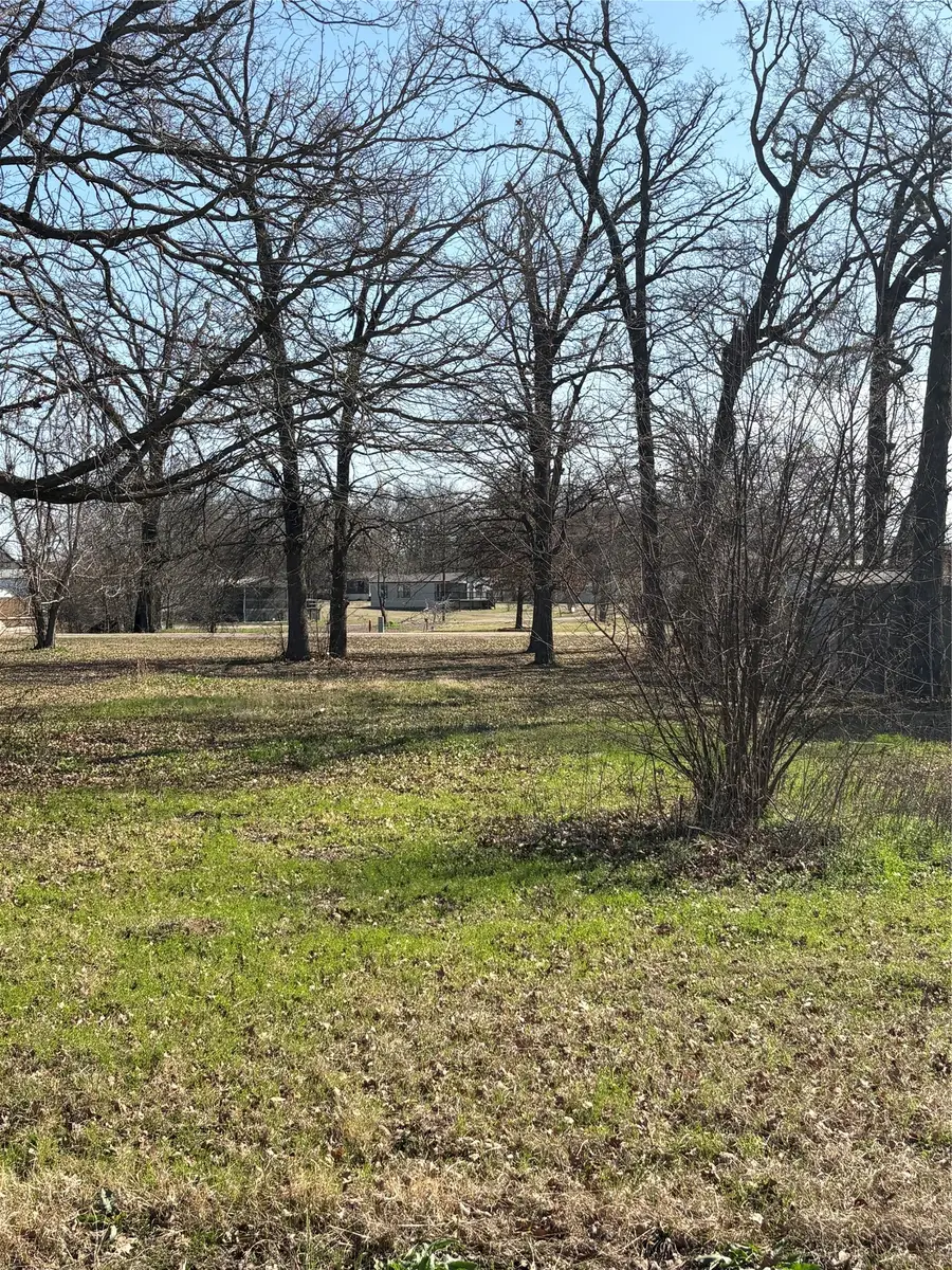 Lot 174 Section I Inca, Quitman, TX 75783 - #2
