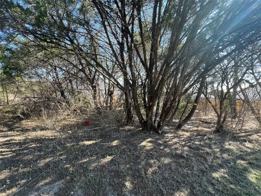 915 Colorado River Drive, Granbury, TX 76048 - #3