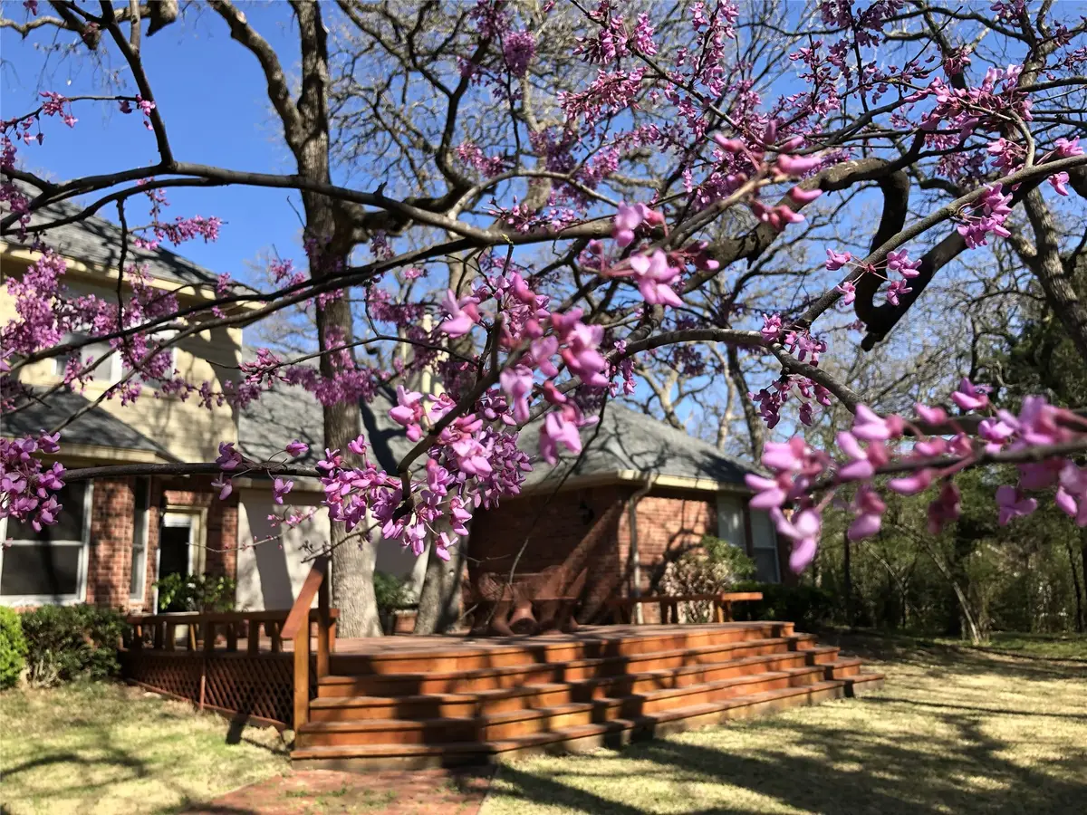 298 Comanche Moon Trail, Decatur, TX 76234 - #1