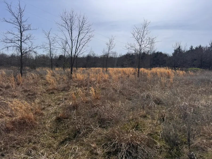 6484 State Highway 56, Bells, TX 75414 - #2