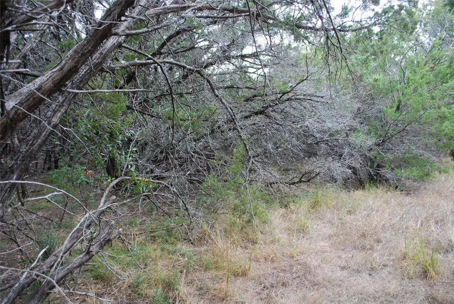 25052 Woodmont Court, Whitney, TX 76692 - #2