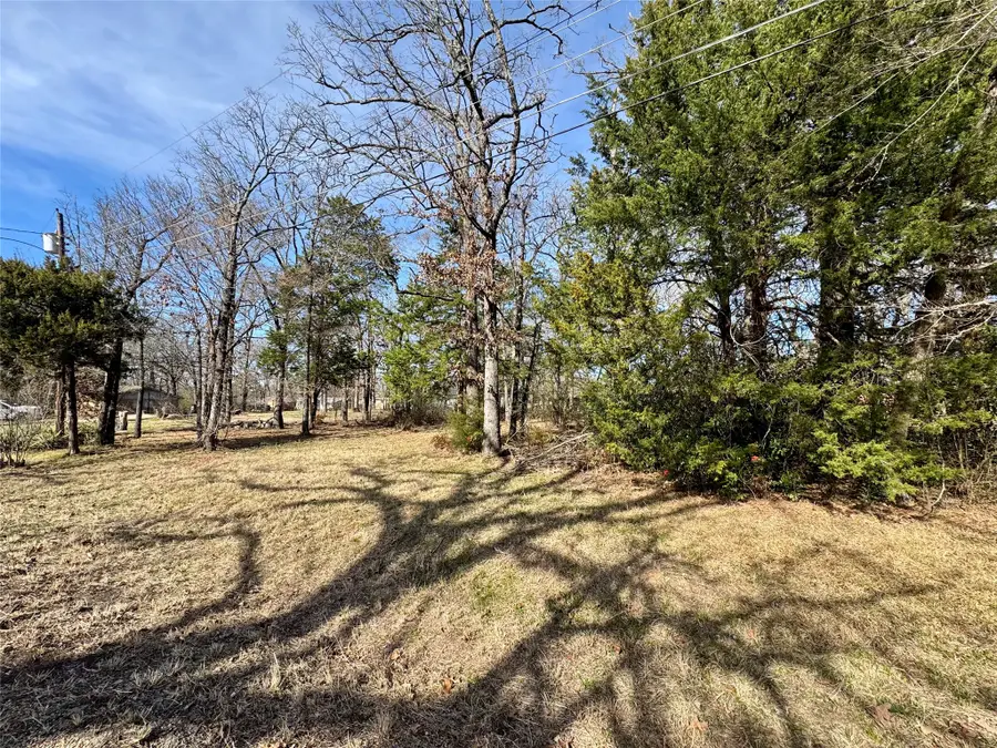 TBD Shady Ln, Canton, TX 75103 - #3