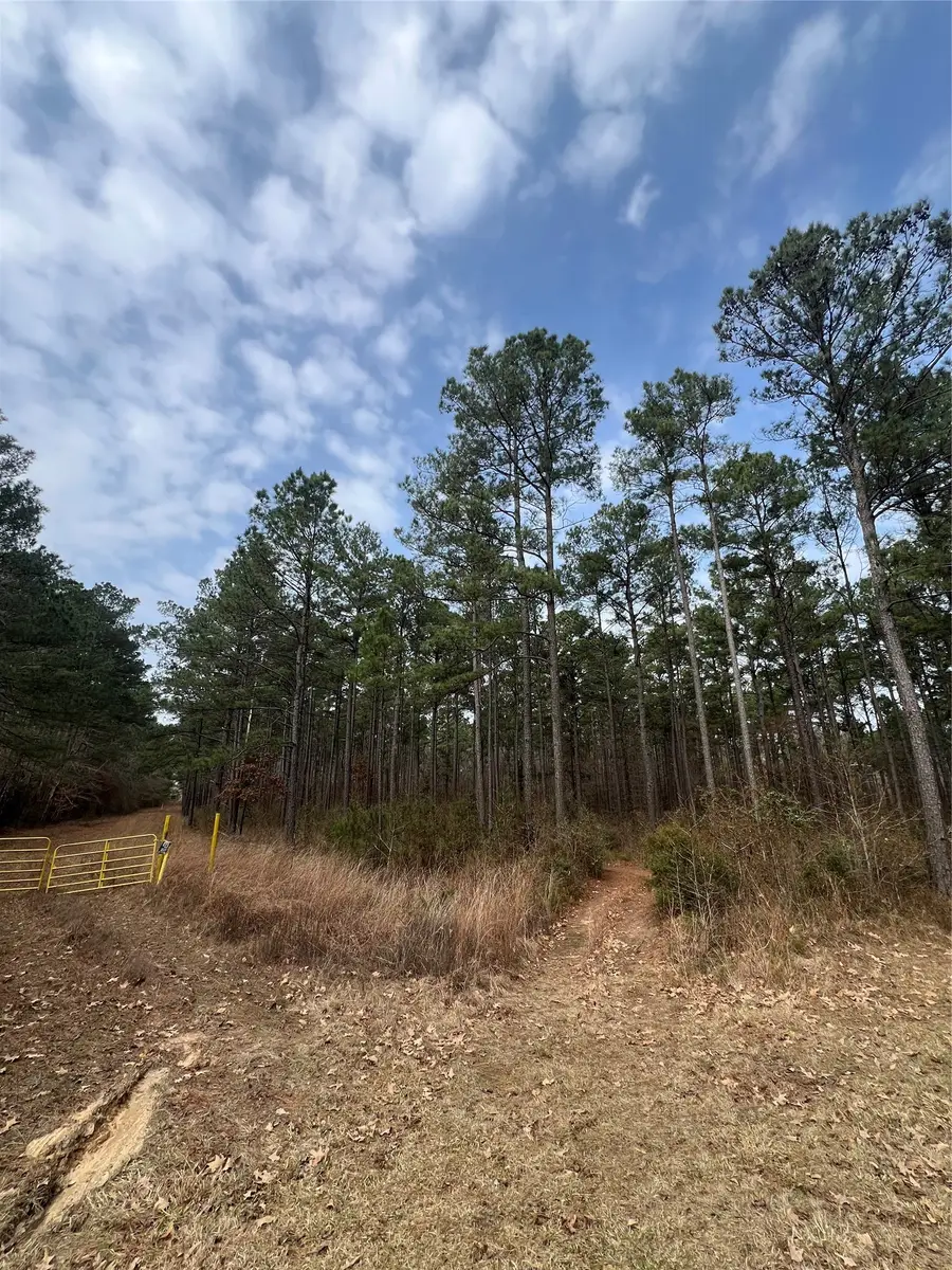 00 Vander Almond Road Road, Minden, LA 71055 - #2