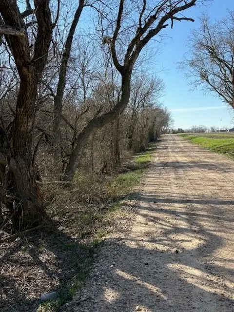 000 Cr-4518, Wolfe City, TX 75496 - #3