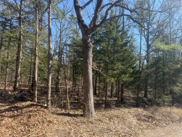 01 Fm-906 W, Powderly, TX 75473