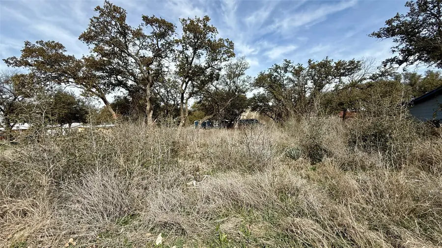 TBD Ardee Drive, Brownwood, TX 76801 - #2