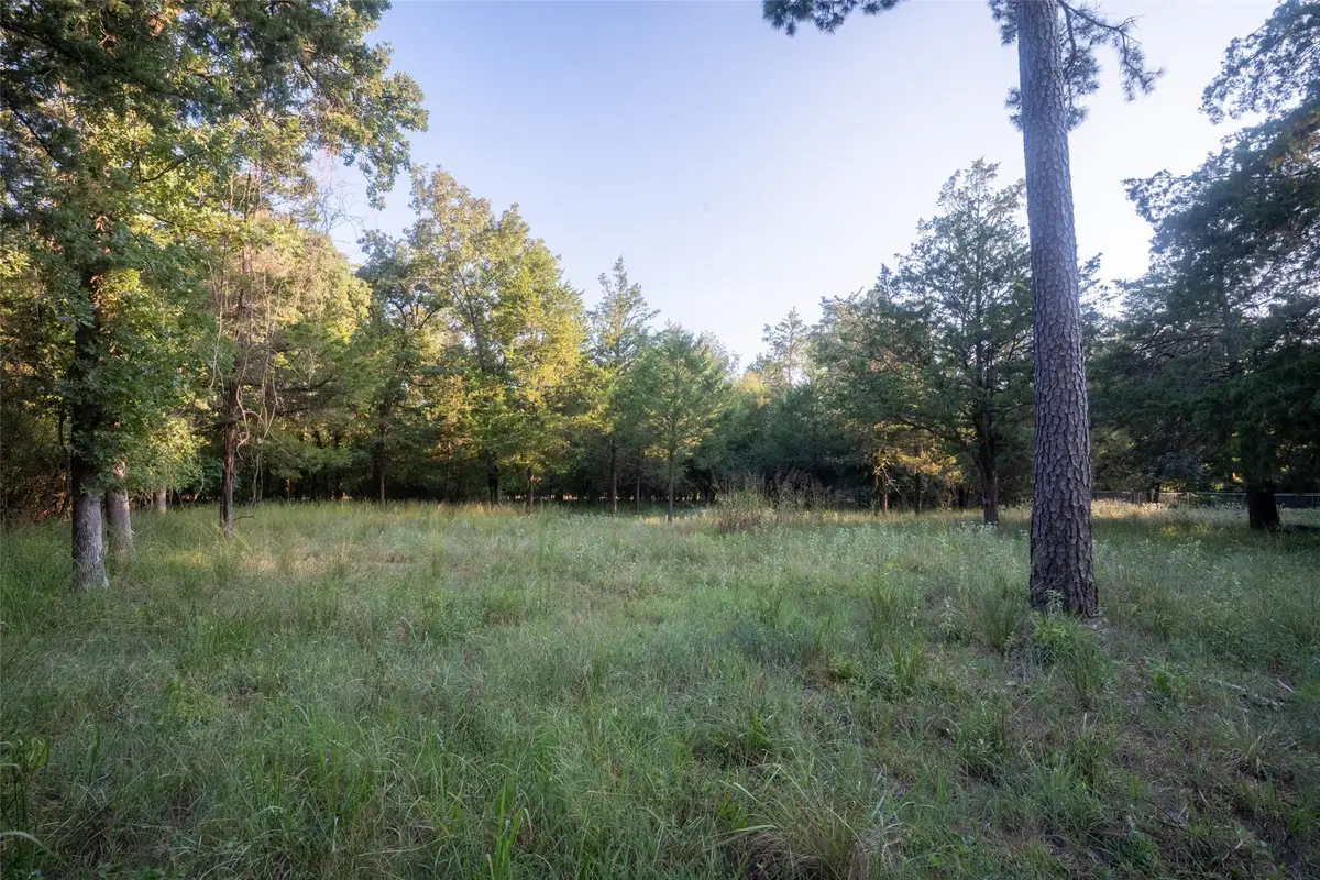 Lots 2, 3, 47 & 48 Kings Country Blvd, Scroggins, TX 75480 - #1