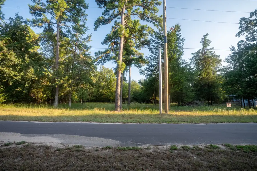 Lots 2, 3, 47 & 48 Kings Country Blvd, Scroggins, TX 75480 - #2