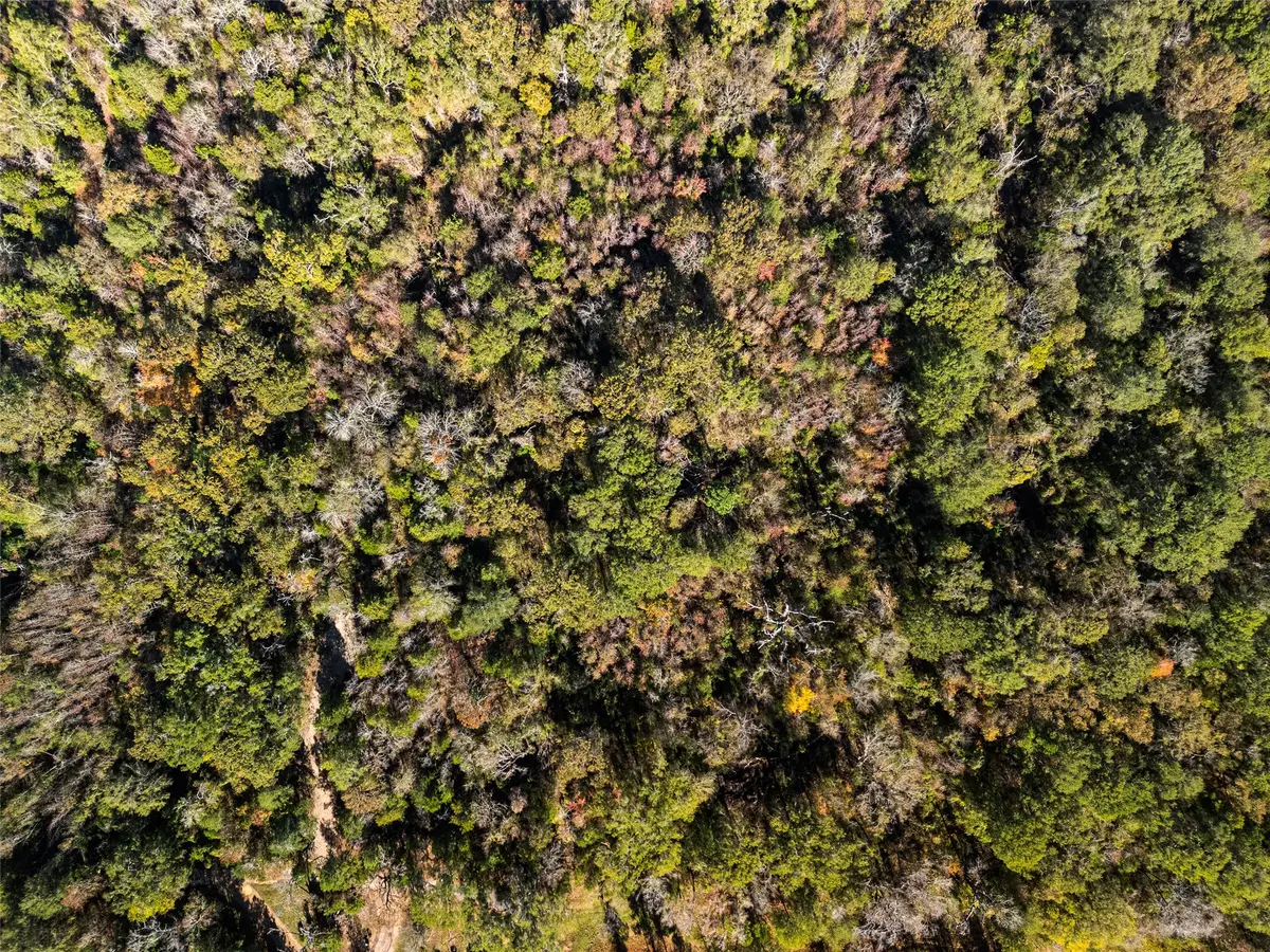 TBD Vz County Road 4815, Chandler, TX 75758 - #1