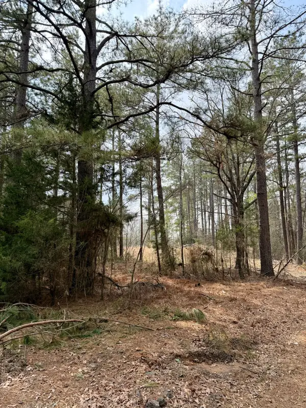 0 Belle Bower Texas Line Road, Logansport, LA 71049