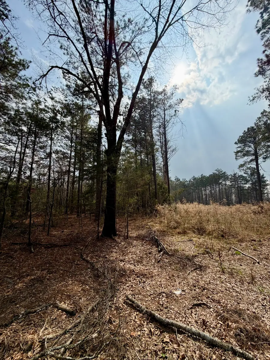 0 Belle Bower Texas Line Road, Logansport, LA 71049 - #2