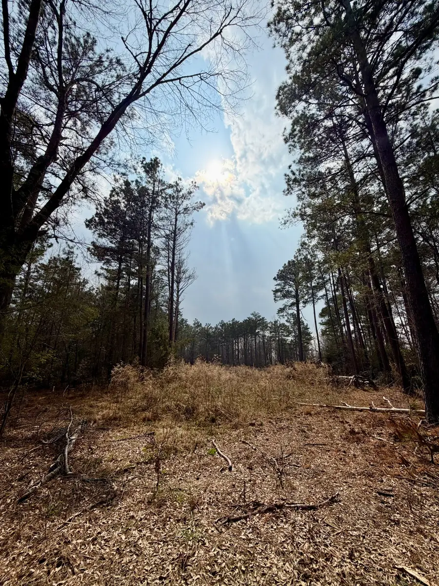 0 Belle Bower Texas Line Road, Logansport, LA 71049 - #3