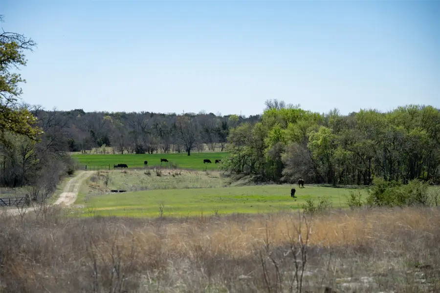 1208 Private Road 1399, Dublin, TX 76446 - #3