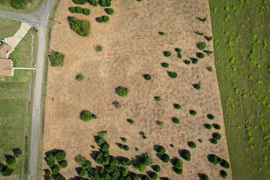 Lot 11 Baybridge, Kerens, TX 75144 - #3