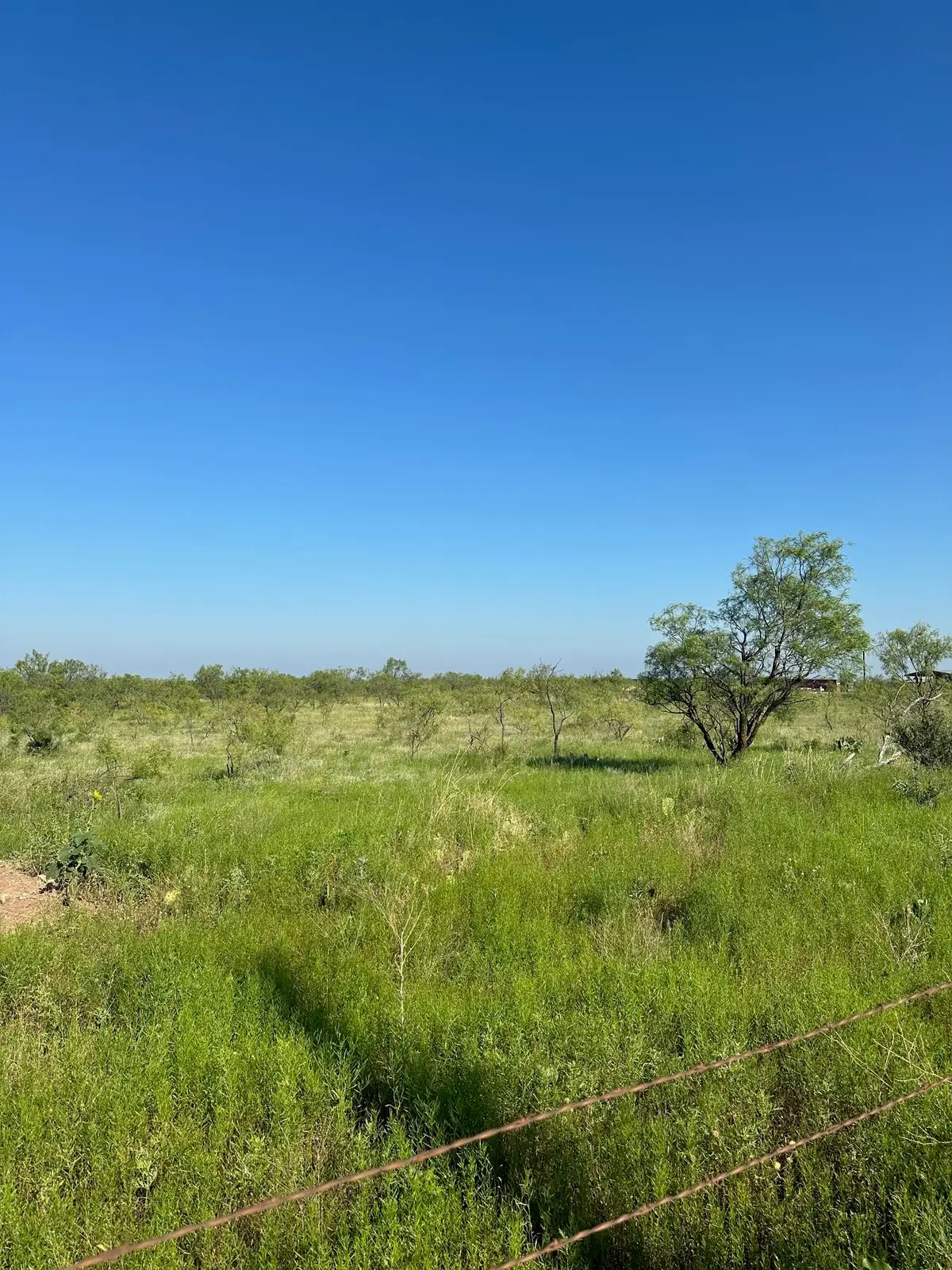 Tract 19 Cr 150, Abilene, TX 79601 - #1