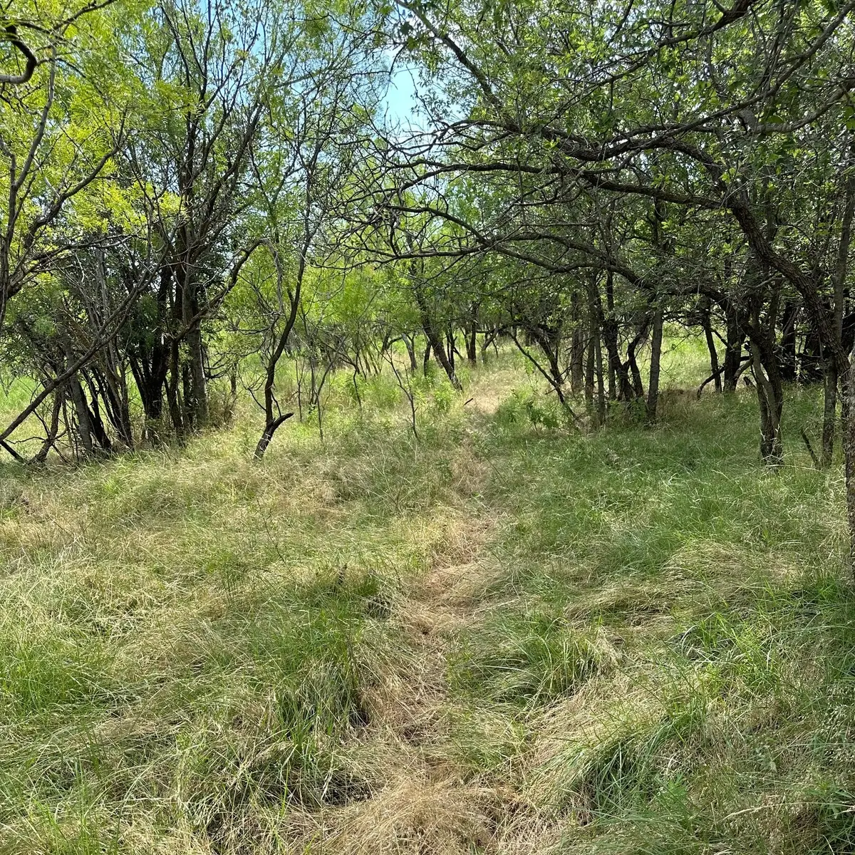 Tract 11 AC Cr 150, Abilene, TX 79601 - #1