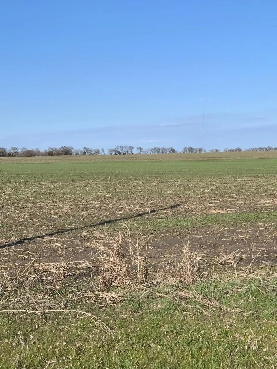 0000 Airport Road, Tioga, TX 76271 - #1