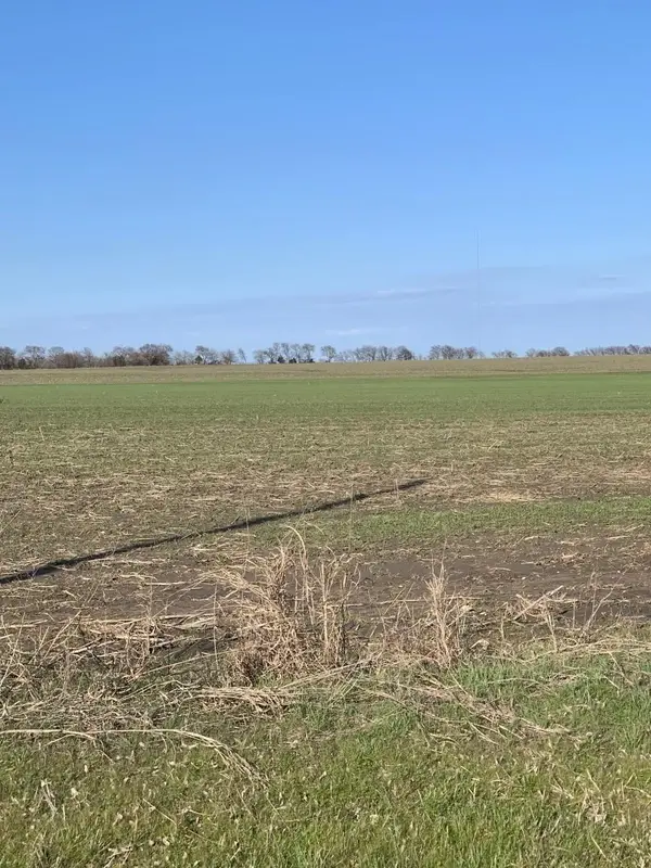 0000 Airport Road, Tioga, TX 76271