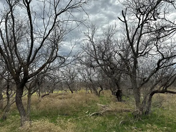 Tract 13 AC Cr 105, Abilene, TX 79601