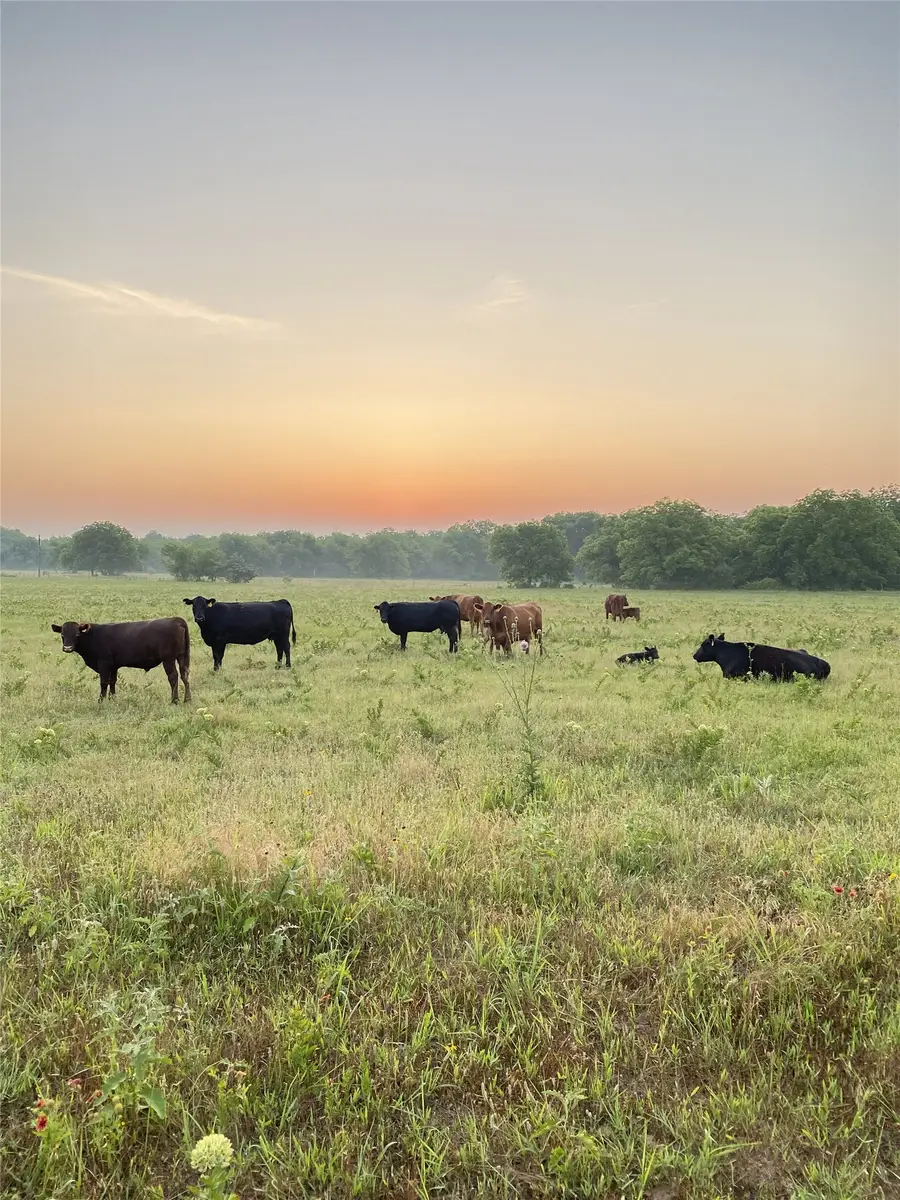 TBD County Road 131, Gainesville, TX 76240 - #2