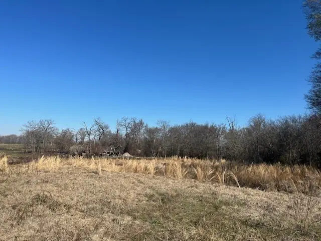 To Be Determined Fm 1652, Grand Saline, TX 75140 - #3