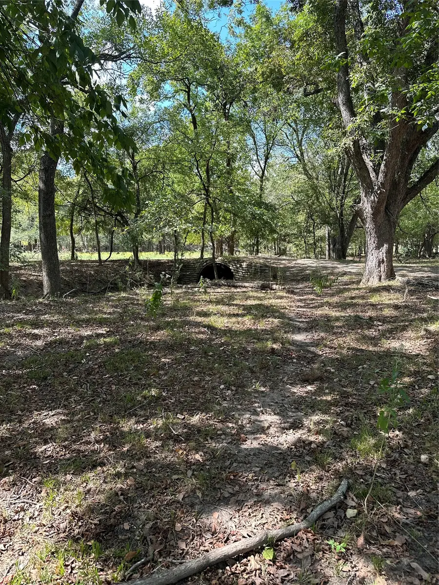 853 Cr 206, Bremond, TX 76629 - #3