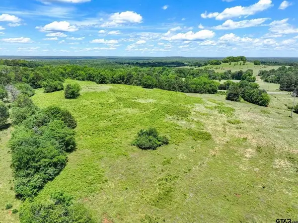 TBD County Road 2493, Bullard, TX 75757