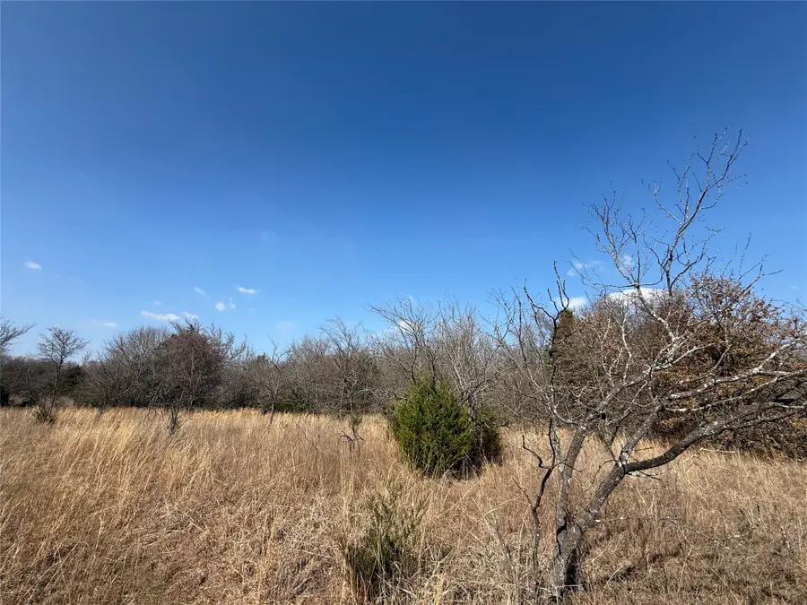 Lots 16 & 17 Block B, Corsicana, TX 75109 - #3