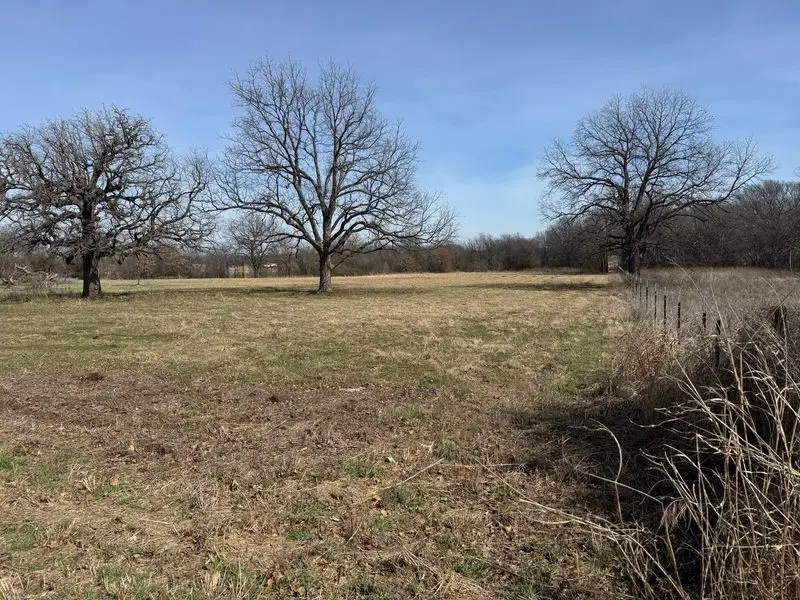 Lot 12 County Road 1346, Chico, TX 76431 - #2