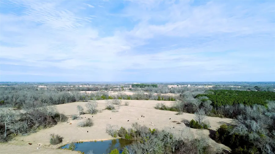 741 County Road 1222, Grand Saline, TX 75140 - #3