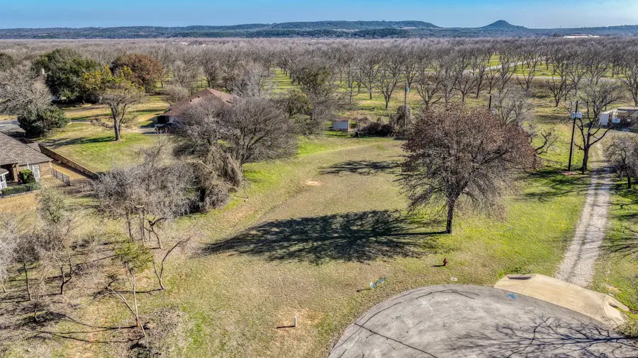 9705 Ravenna Court, Granbury, TX 76049 - #3